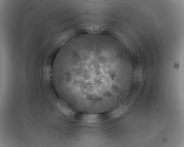 X0000096730671200802051442