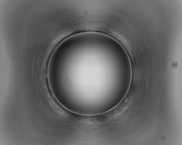 X0000096730673200802051441