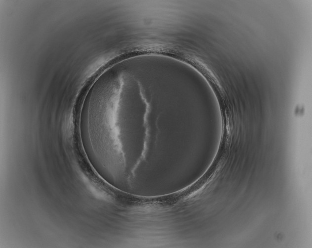 X0000096730674200802051441