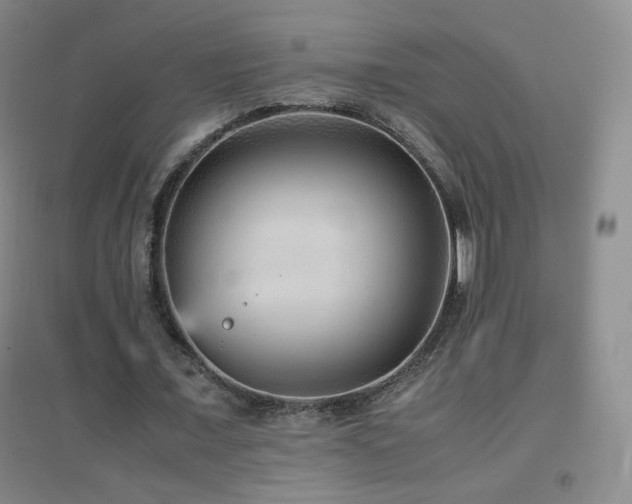 X0000096730675200802051441