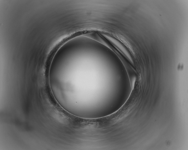 X0000096730676200802051441