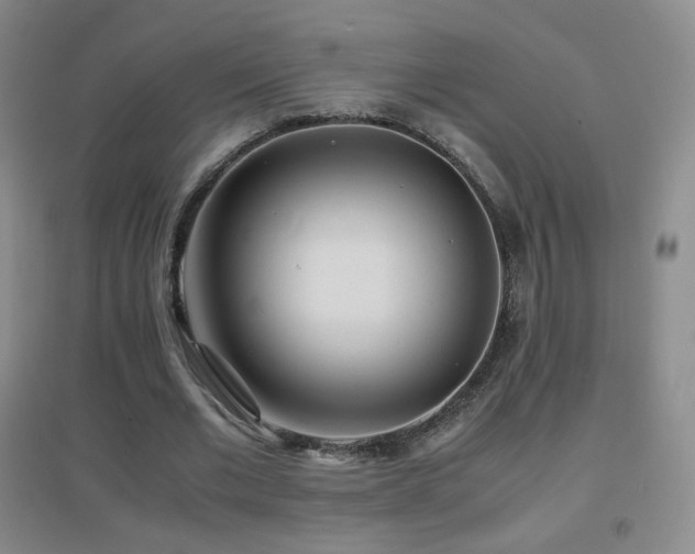X0000096730677200802051441