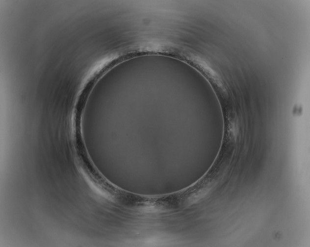 X0000096730678200802051441