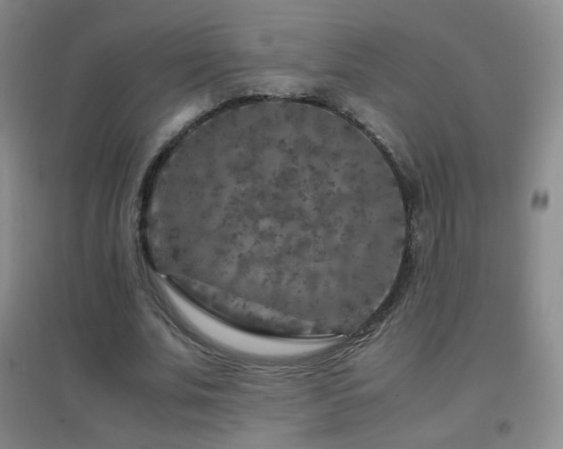 X0000096730679200802051441