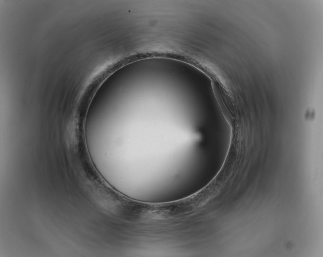 X0000096730680200802051441