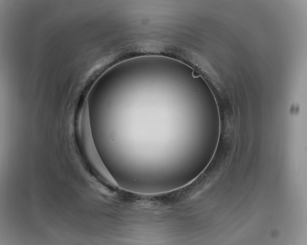 X0000096730681200802051441