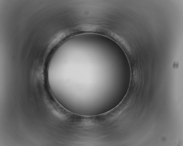 X0000096730682200802051441
