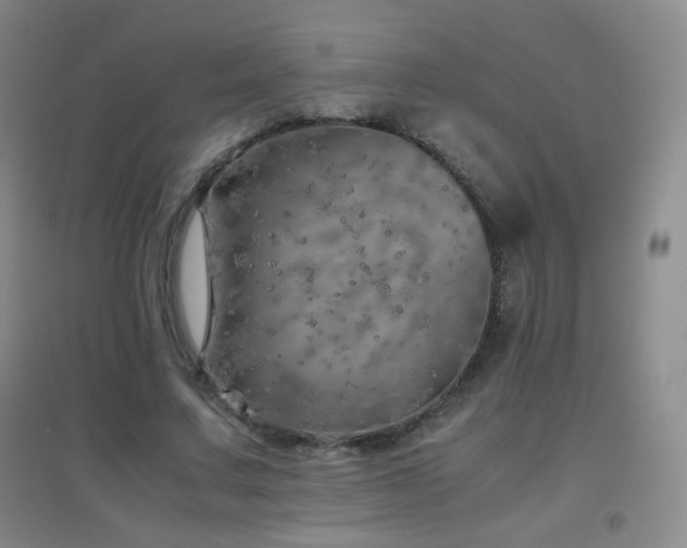 X0000096730683200802051441