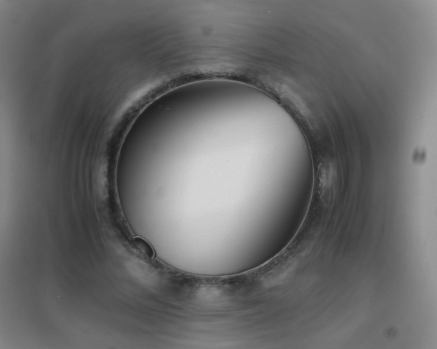 X0000096730684200802051441