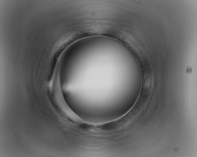 X0000096730685200802051441