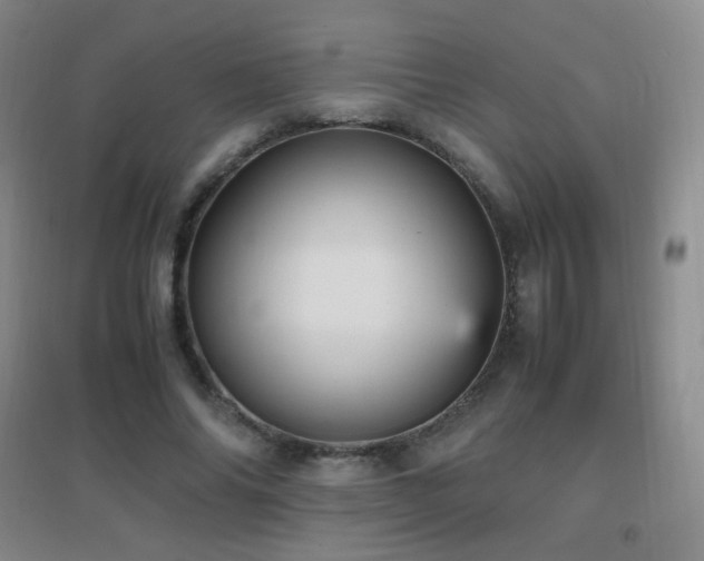 X0000096730686200802051441