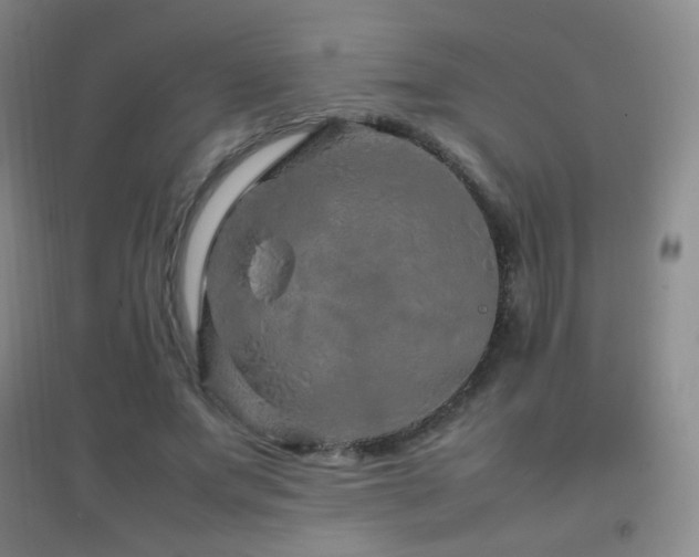 X0000096730687200802051441