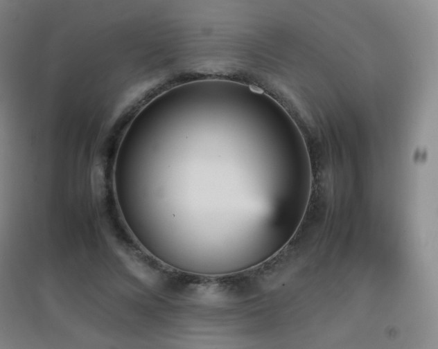 X0000096730688200802051441