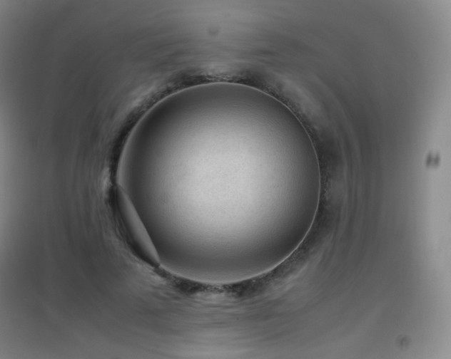 X0000096730689200802051441