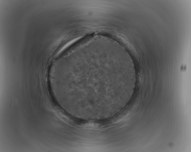 X0000096730691200802051441