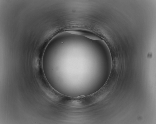X0000096730692200802051441