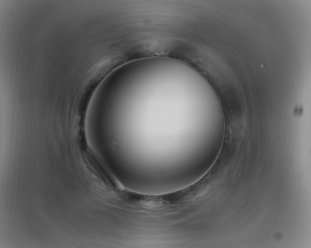 X0000096730693200802051441