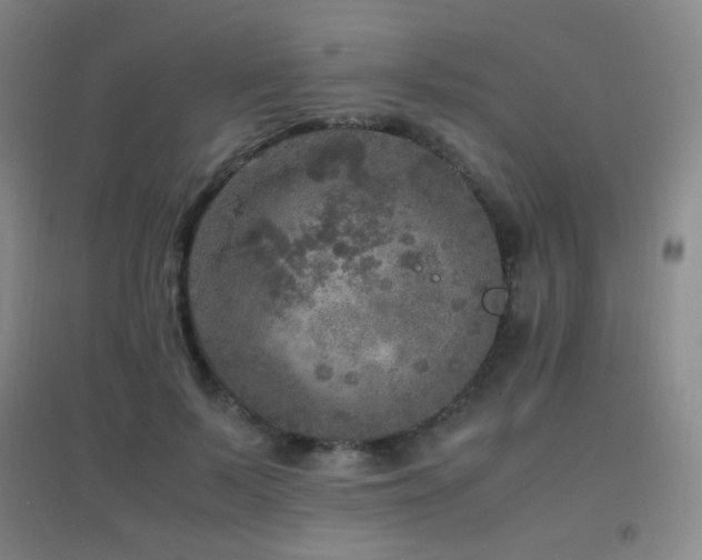 X0000096730695200802051441