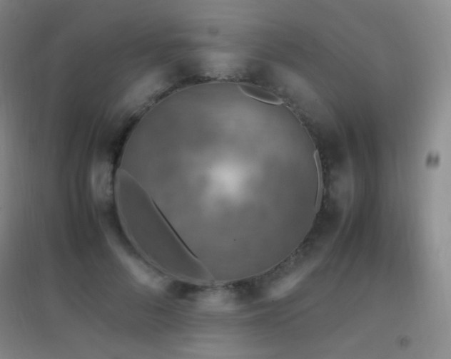 X0000096730696200802051441