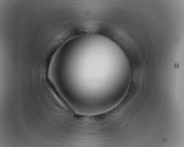 X0000096730697200802051441