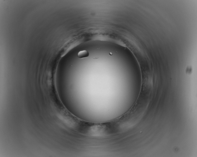 X0000096730700200802051440