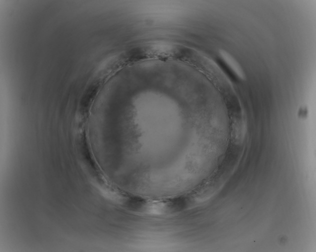 X0000096730701200802051440