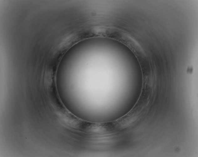X0000096730702200802051440