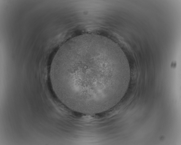 X0000096730703200802051440