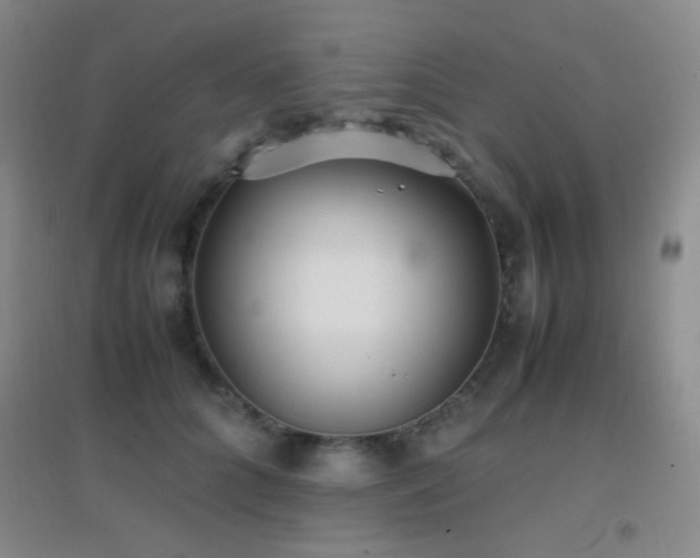 X0000096730704200802051440
