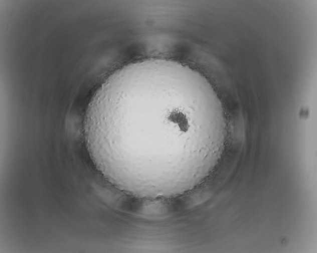 X0000096730705200802051440