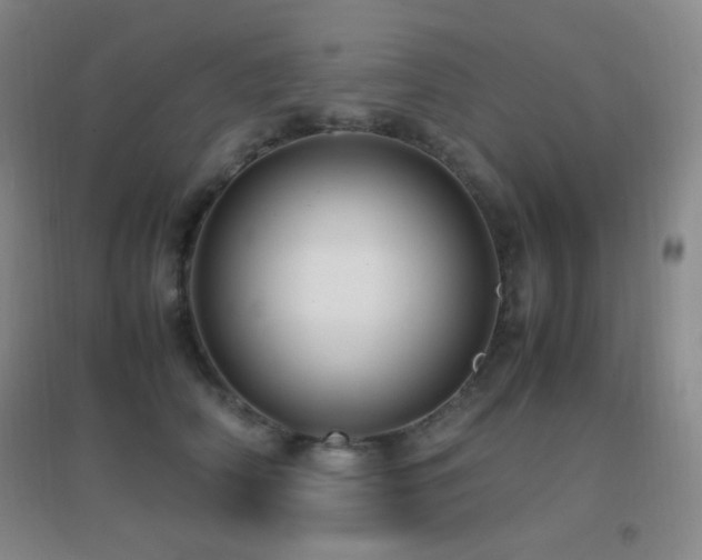 X0000096730706200802051440