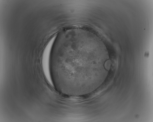 X0000096730707200802051440