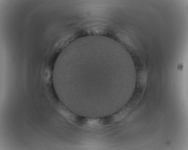 X0000096730709200802051440