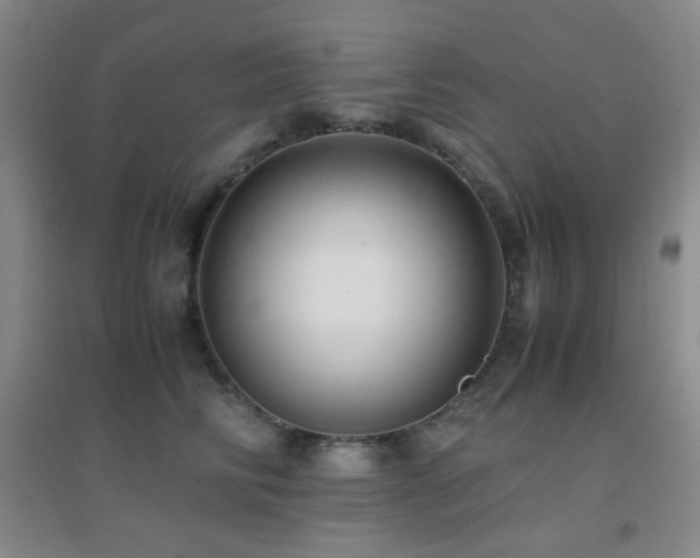 X0000096730710200802051440