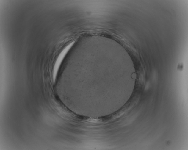 X0000096730711200802051440