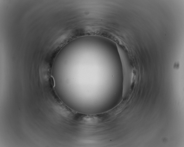 X0000096730712200802051440