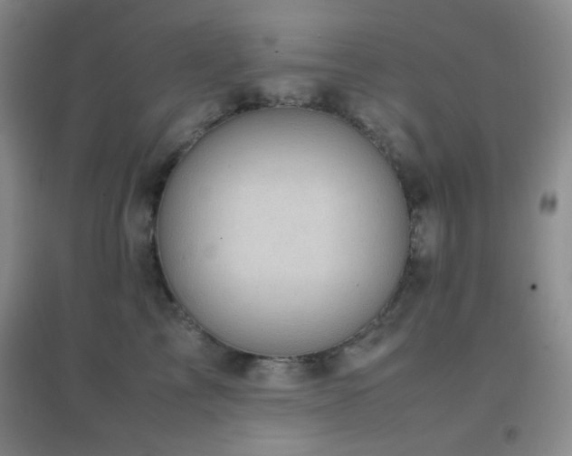 X0000096730713200802051440