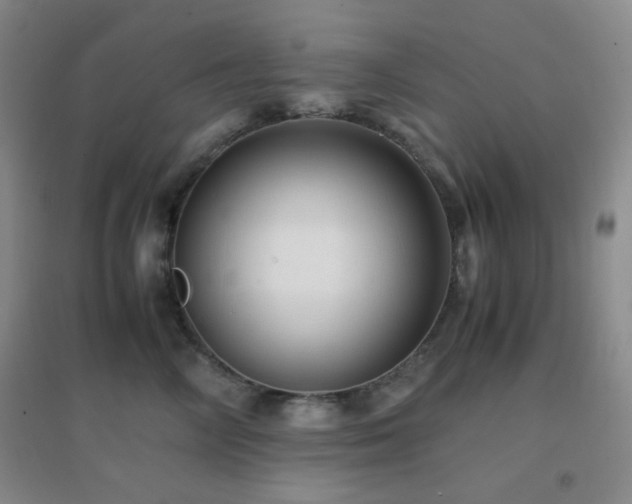 X0000096730714200802051440