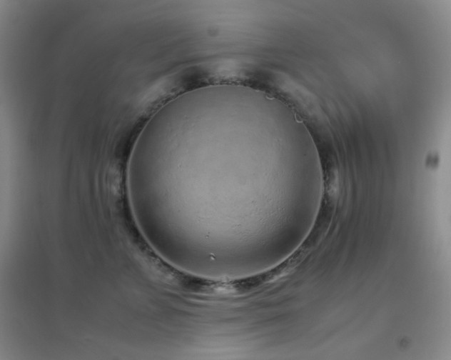 X0000096730715200802051440