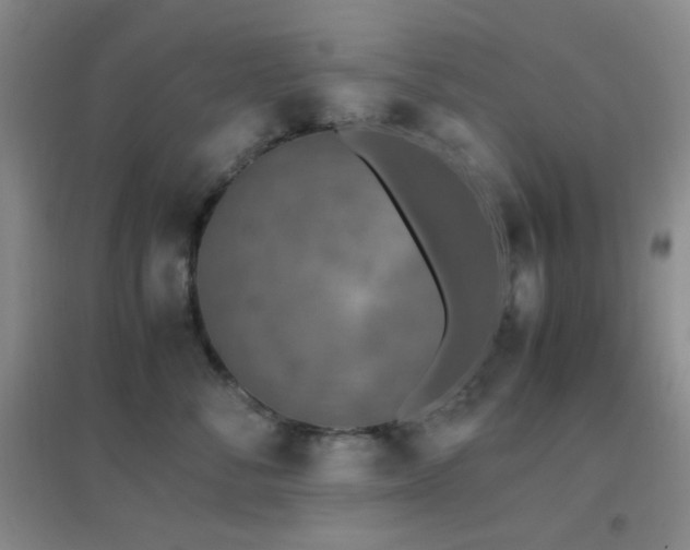 X0000096730716200802051440