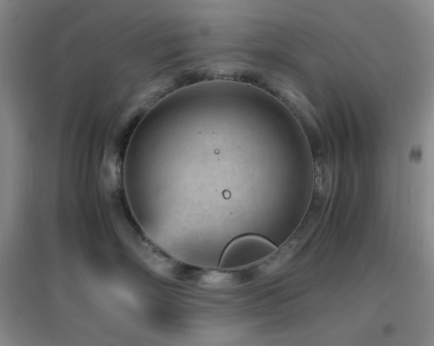 X0000096730718200802051440