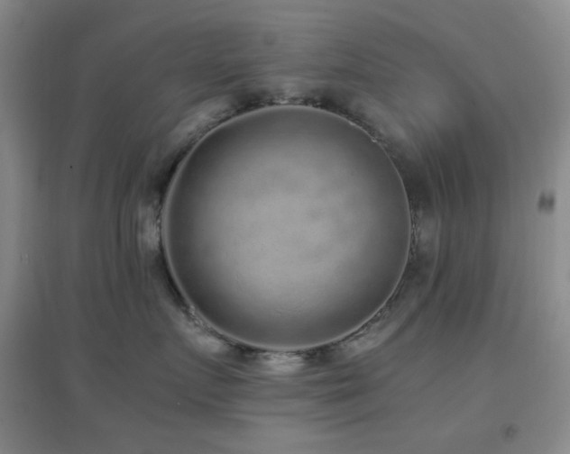 X0000096730719200802051440