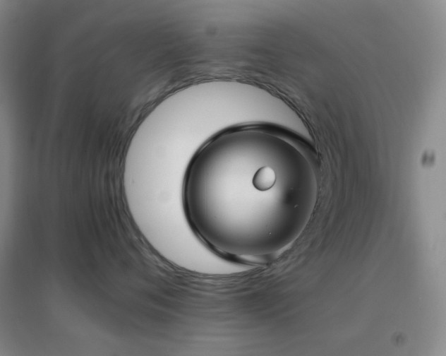 X0000096730720200802051440