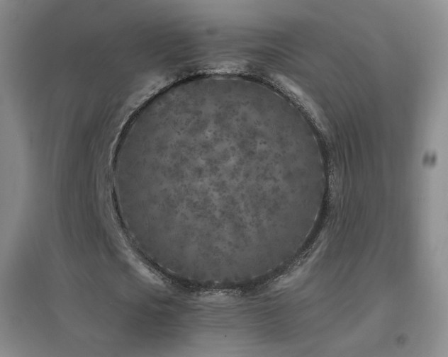 X0000096730721200802051439