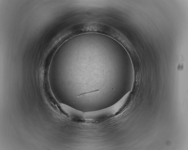 X0000096730722200802051439