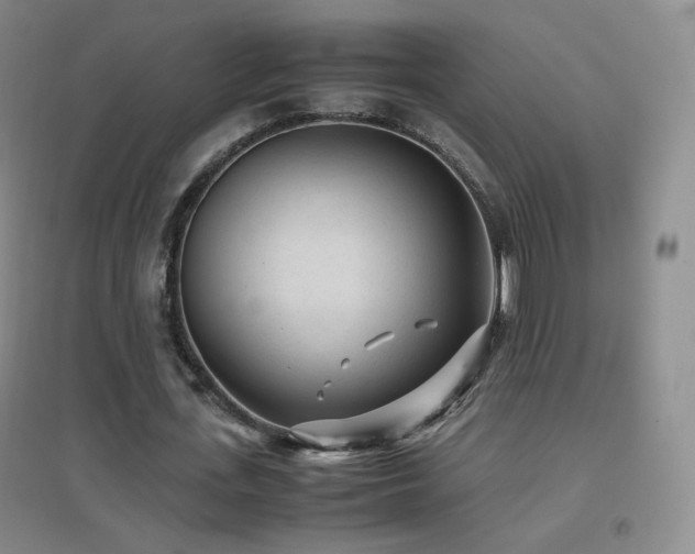X0000096730723200802051439