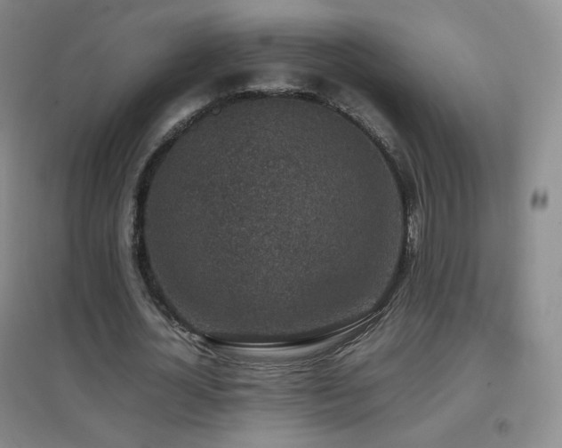 X0000096730724200802051439