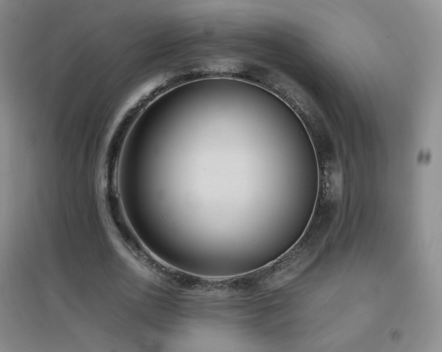 X0000096730726200802051439