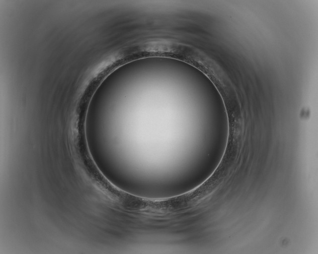 X0000096730727200802051439