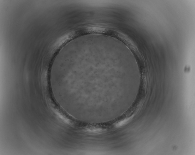 X0000096730729200802051439